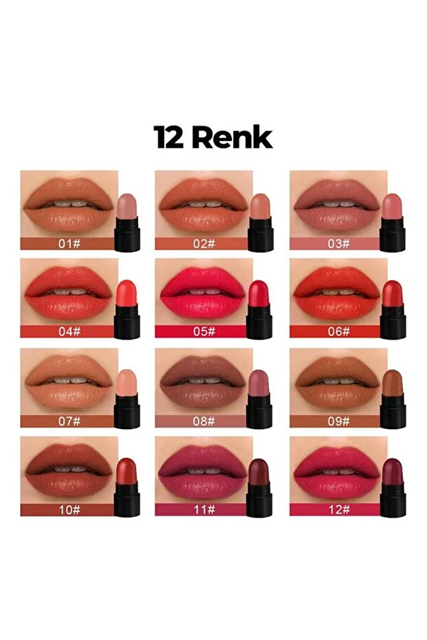 12'li Mini Kuru Ruj Seti 12 RENK