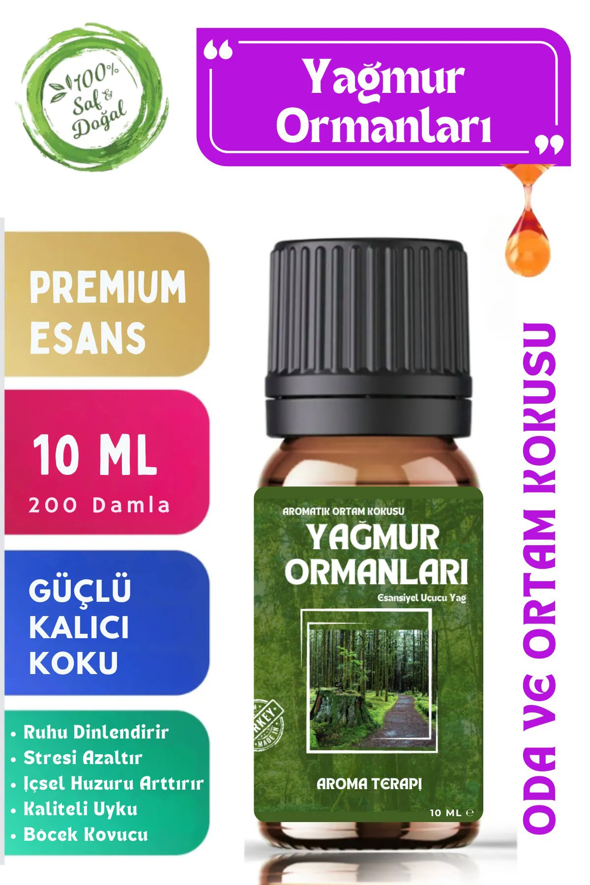 Yağmur Ormanı